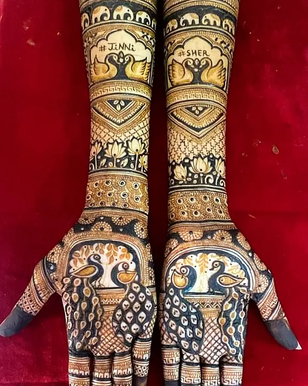 Bridal mehndi with peacock and palace motifs on both full hands and arms in Chandigarh